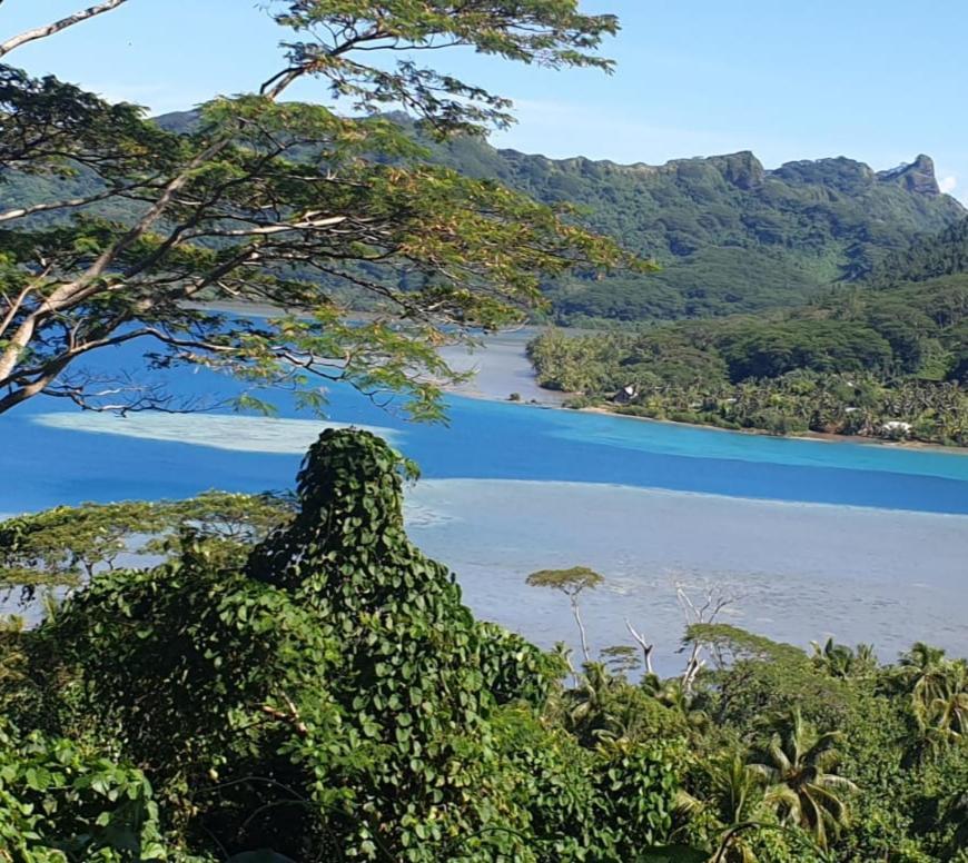 Huahine Manta Lodge Avec 4X4 Optionnel Haapu Εξωτερικό φωτογραφία