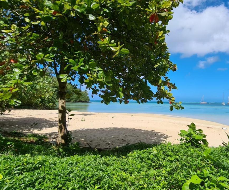 Huahine Manta Lodge Avec 4X4 Optionnel Haapu Εξωτερικό φωτογραφία