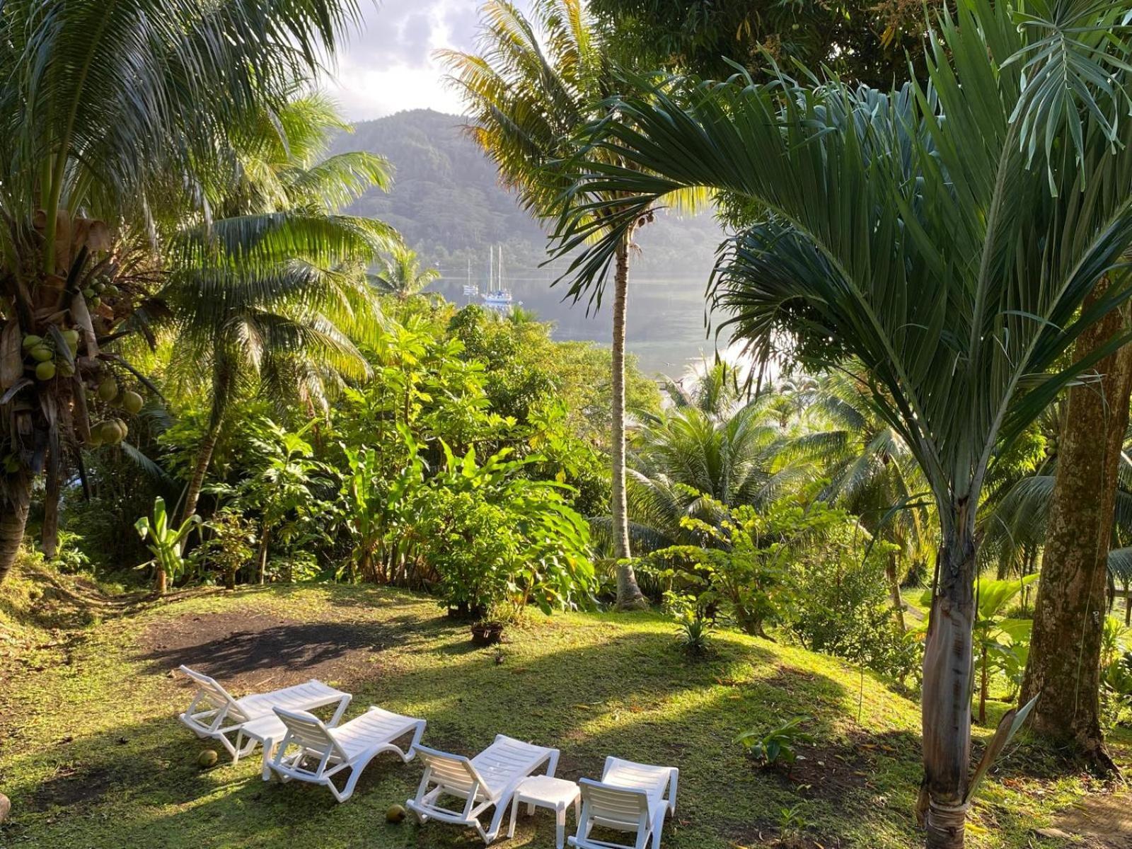 Huahine Manta Lodge Avec 4X4 Optionnel Haapu Εξωτερικό φωτογραφία
